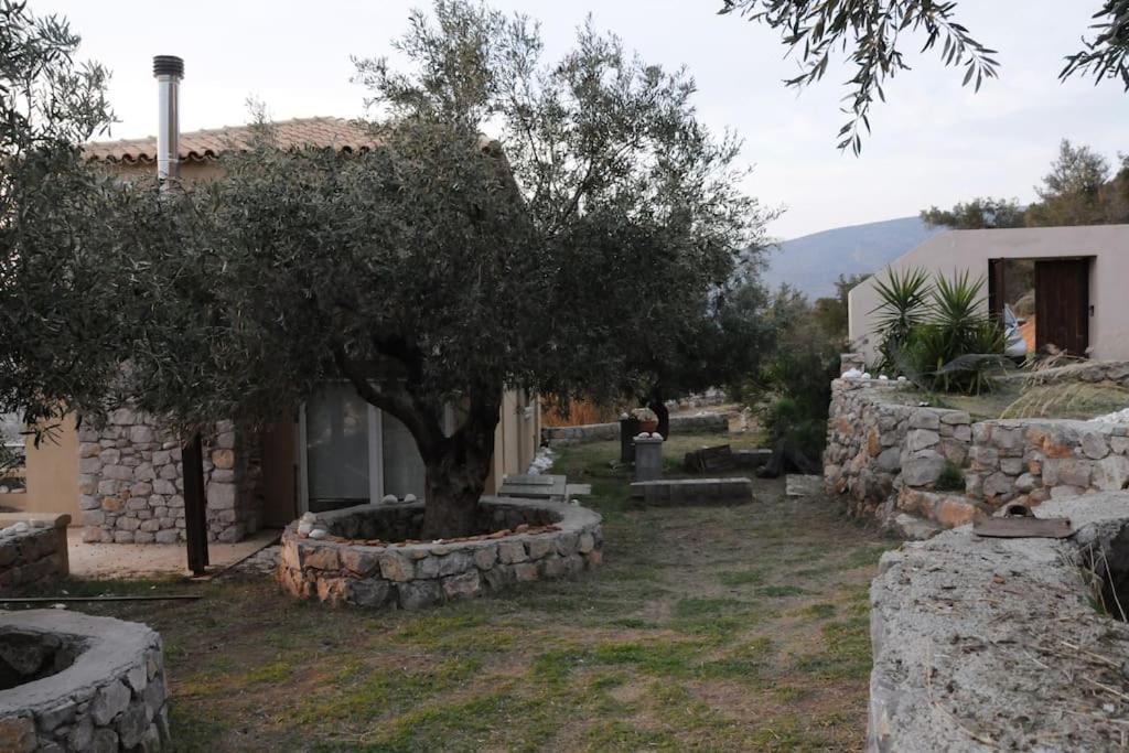 Melolia Estate Thebes